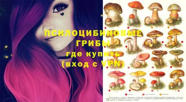 кокс Баксан