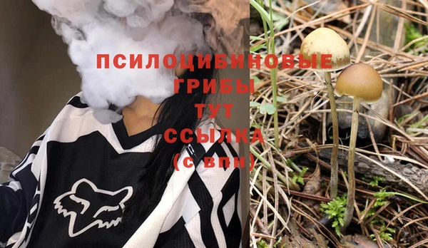 а пвп мука Белокуриха